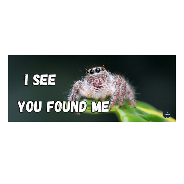 Reptile Cage Sign - "I See you Found Me