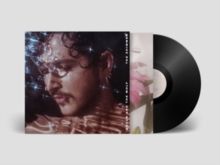 The Shimmer (Vinyl / 12" Album)
