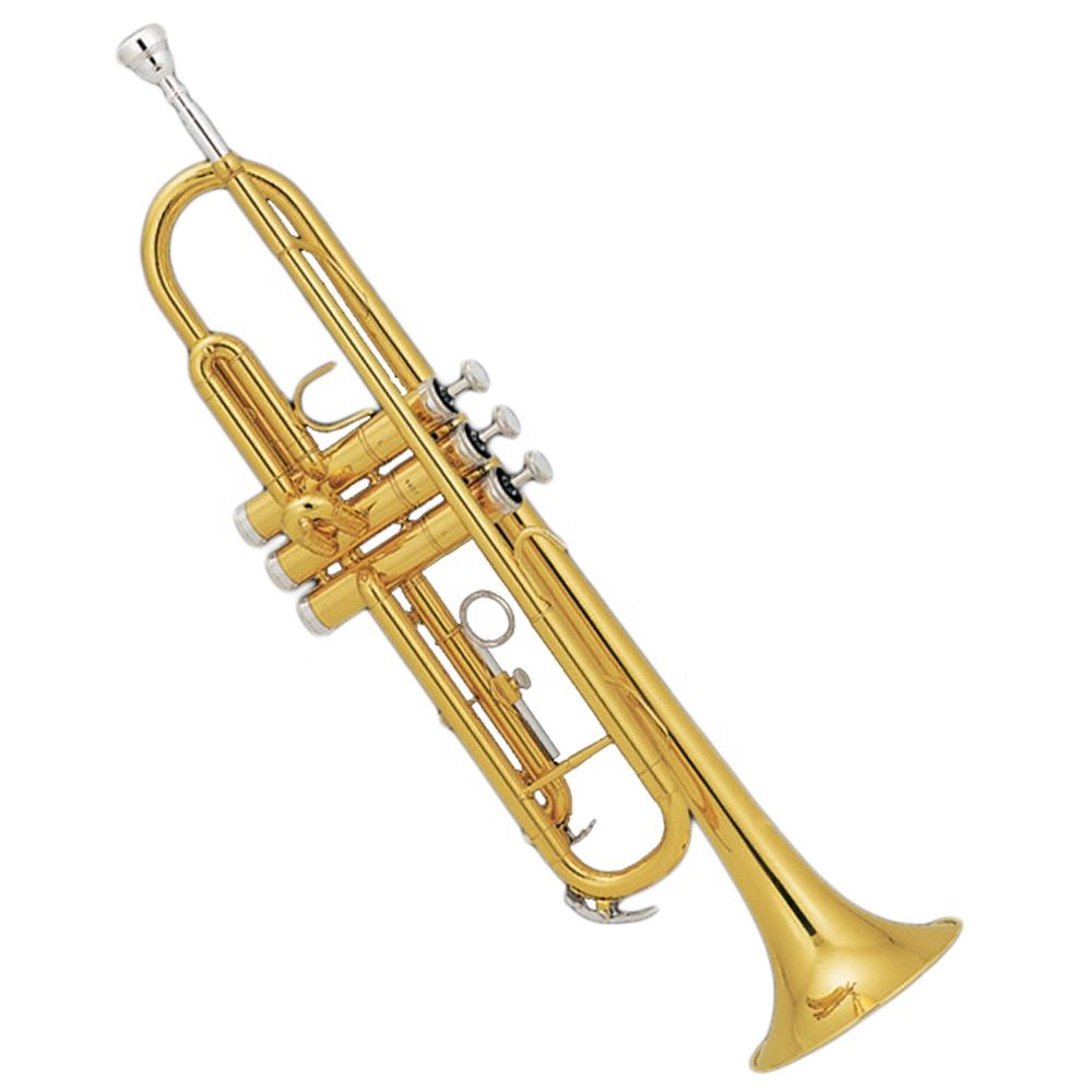 Trumpet with Light Case