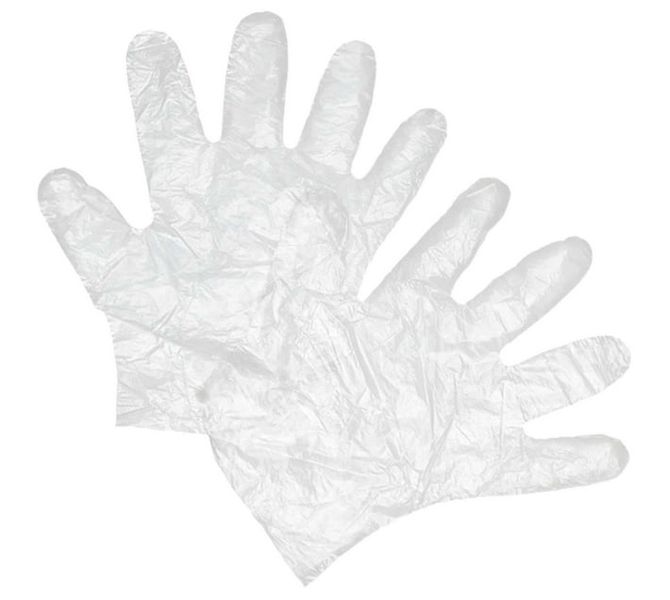 Annie - 6Pc Vinyl Gloves Powder Free (Medium) x 4