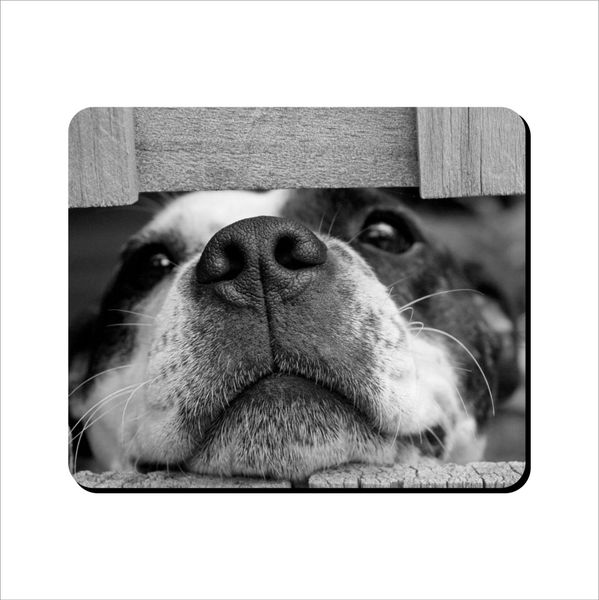 Mouse Pad - Cute Staffie