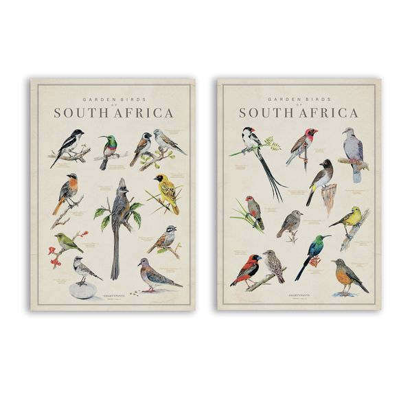 Garden Birds of South Africa Wall Art