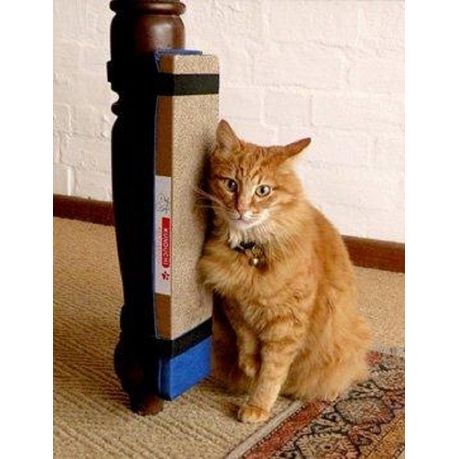 Cat scratching outlet post with catnip