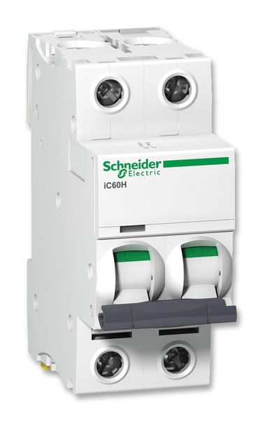 Schneider Electric (A9F54206) Thermal Magnetic Circuit Breaker, 6A, 2 Pole