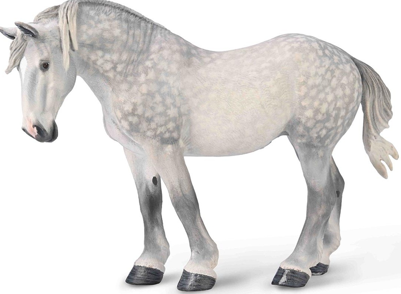 Horses Xl Percheron Mare