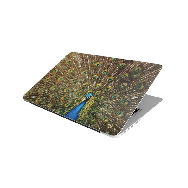 Laptop Skin/Sticker - Peacock