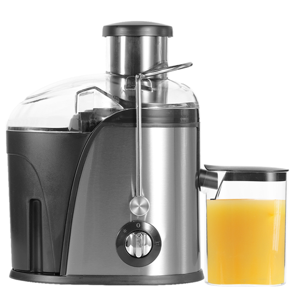 800W Juicer Stainless Steel Juice Maker