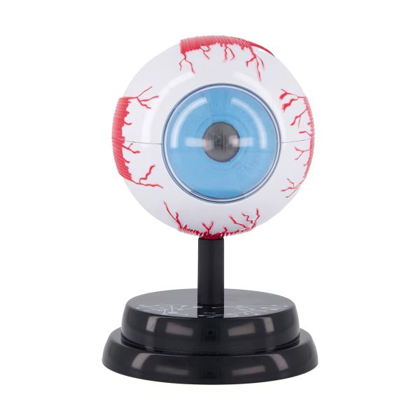 STEM Augmented Reality - Eye Ophthalmology Professional Model - Educational