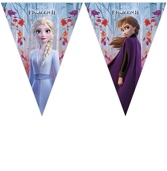 Frozen Ii Sparkle Triangle Flag Banner