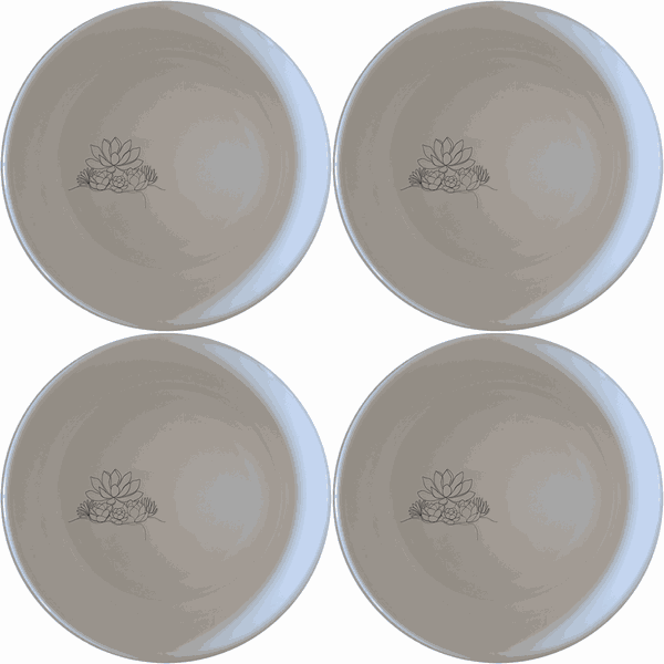 Succulent Garden Bowl Set of 4 - Range 1