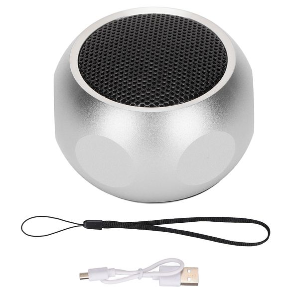 Mini Portable Bluetooth Speaker Cute Tiny Wireless with Lanyard Silver