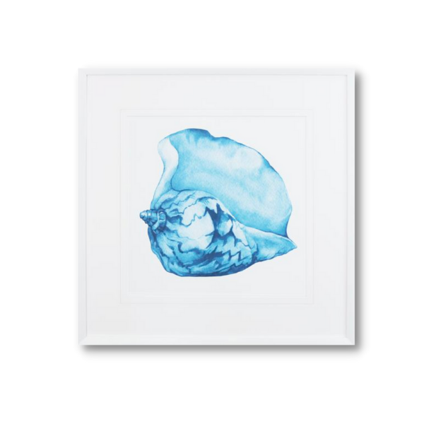 Framed Print - Blue Sea Shell III - 620x620mm