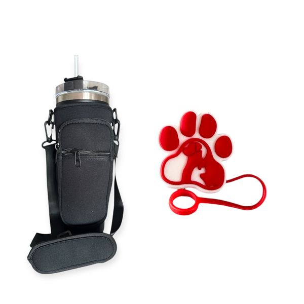 Stainless Steel Bottle with Straw, Straw Cover and a Bottle Bag