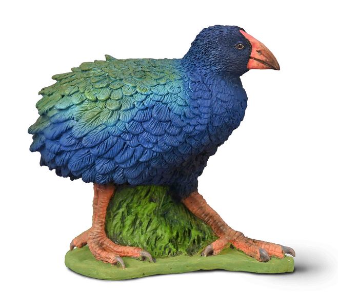 Wildlife Med Takahe