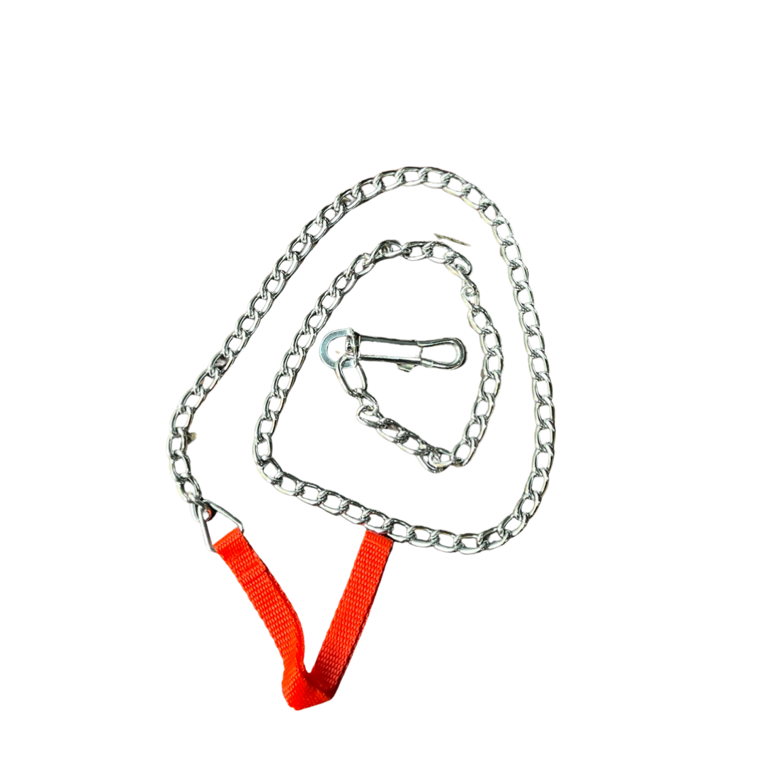 Chain Dog Lead Shop Today. Get it Tomorrow!