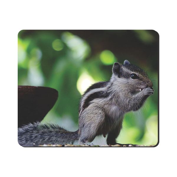 Mouse Pad - Squirrel