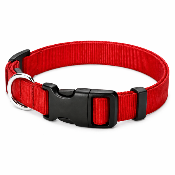 Complete Medium Nylon Dog Collar - Heavy Duty Adjustable Pet Collar