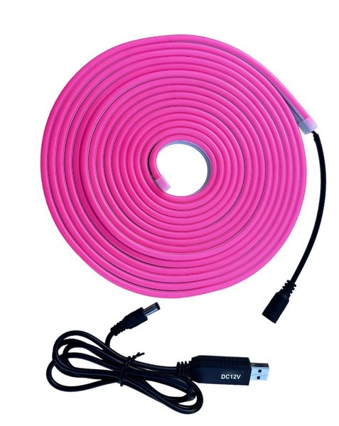 Gadget Boost 12V 5M LED Neon Strip Light with Power Cable - Pink