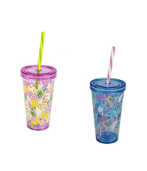 Tumbler With Straw 550ml x2