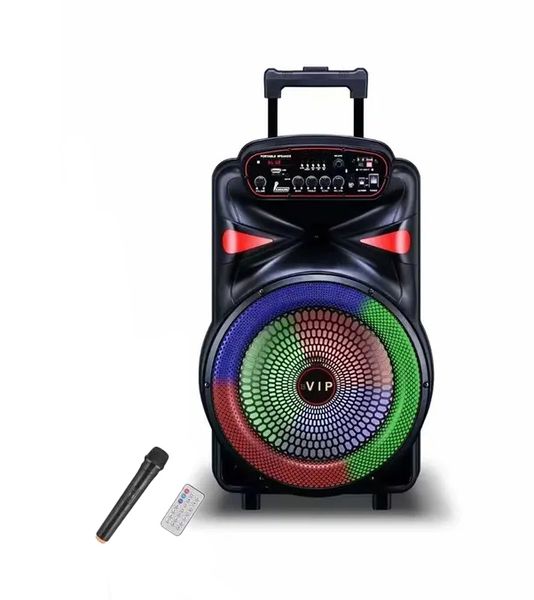 15 Inch Portable Outdoor Speaker with microphone &amp; RGB Lights JT-1518