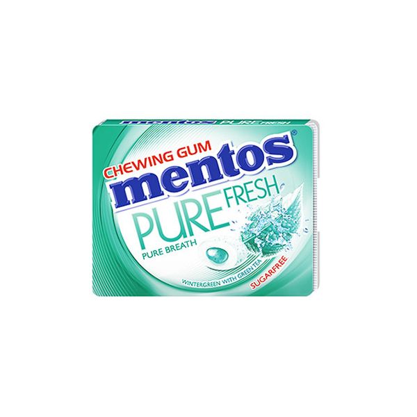 Mentos - Blister Gum Wintergreen - 8p x 2 Pack