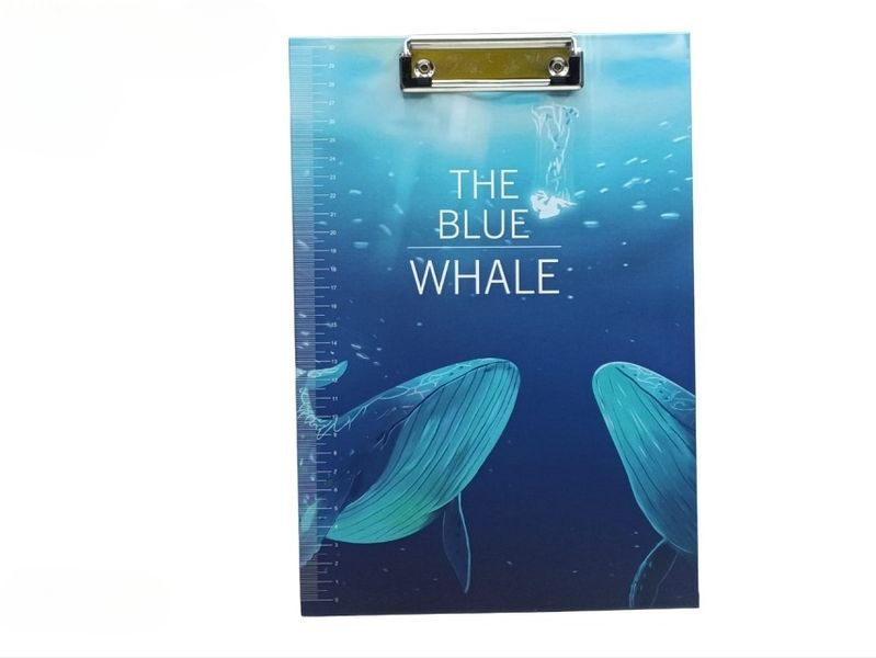 4 x Cartoon Graphic Memo Notes with Clipboard Set Refillable (The Blue Whale)