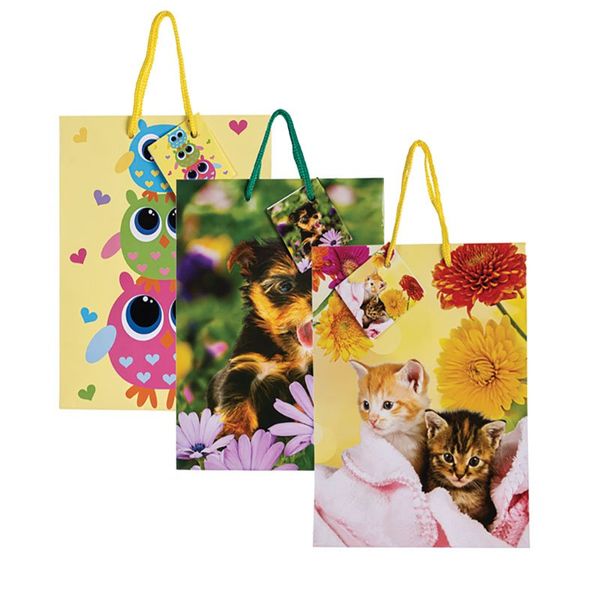 Bulk Pack 12 Assorted Medium Everyday Gift Bag 23cm x 18cm - Animals