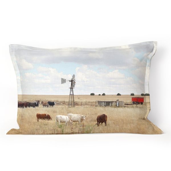 Karoo Cushion with Feather Inner