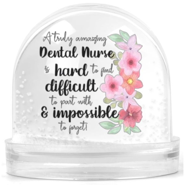 A Truly Amazing Dental Nurse Gift Snow Globe