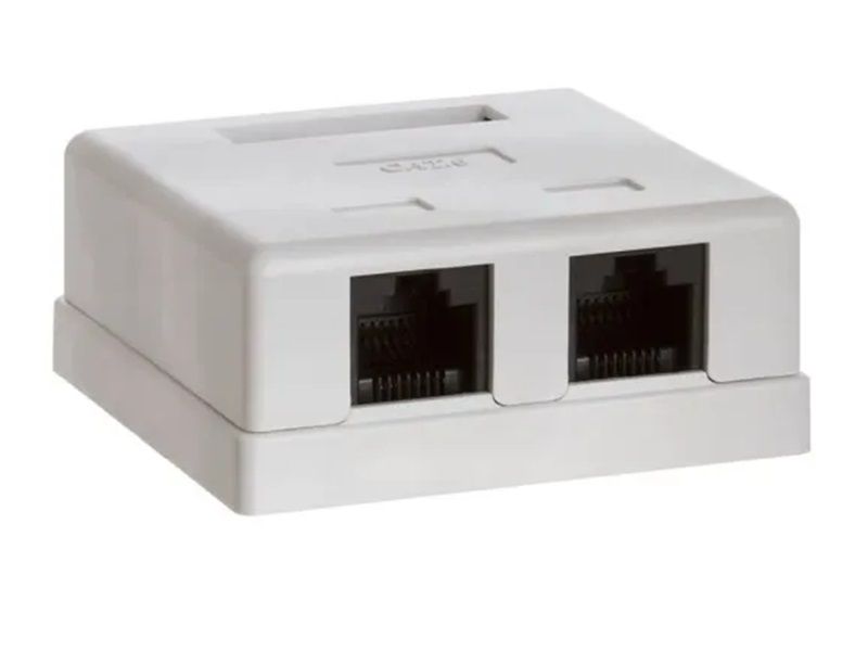 CAT6 Wall Box Dual RJ45 Double Port Enclosure Network Connectivity