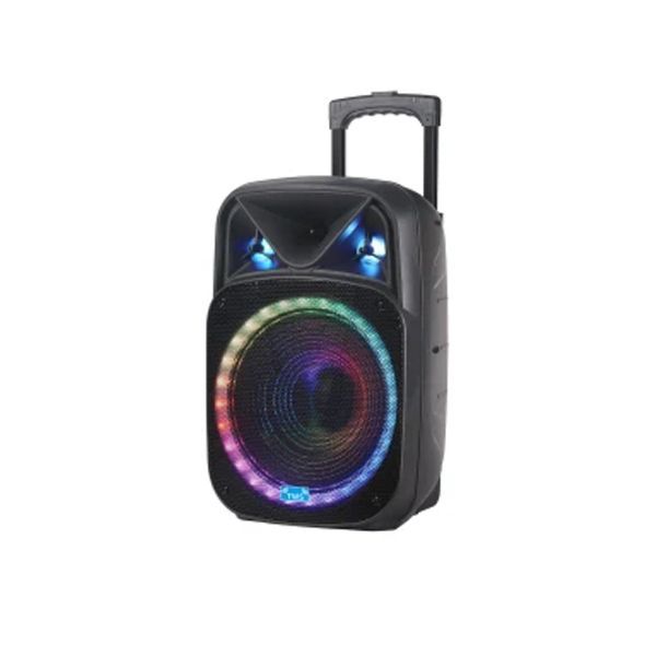 Professional outdoor Audio with Wireless Mic PA Speaker NDR-W1315