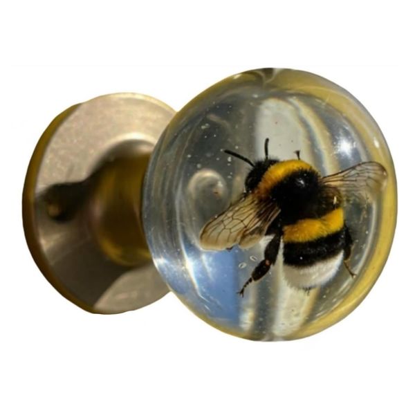 Decor DIY Novelty Unique Resin Epoxy Bumble Bee Doorknob Handle Gift (5cm)