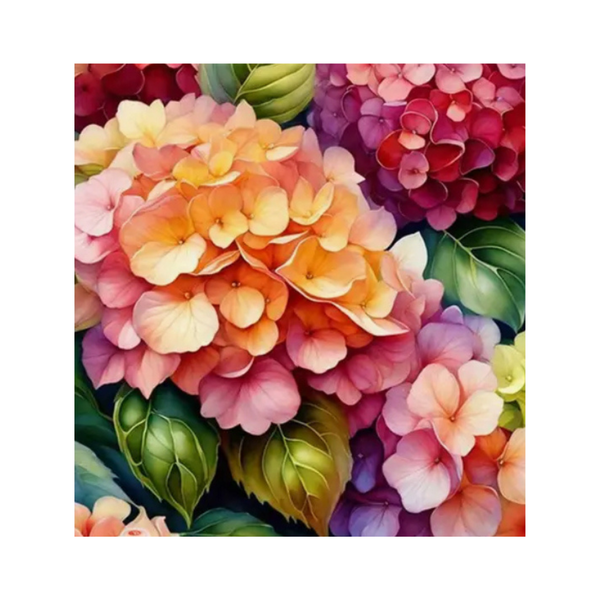 Vibrant Hydrangea Medley Paint by Number Kit for Adults/Beginners