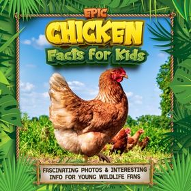 Epic Chicken Facts for Kids: Fascinating Photos & Interesting Info for ...