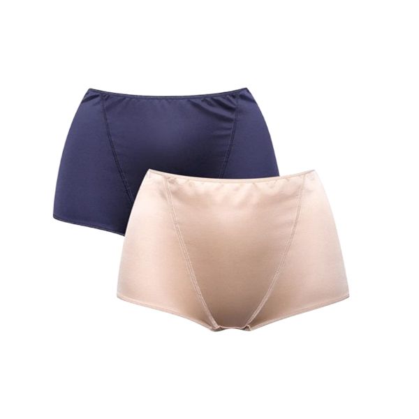 Secret Shield 2 Pack Low Leg Briefs