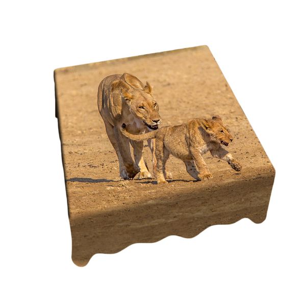 Thumbnail product image - 0