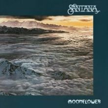 Moonflower (Vinyl / 12" Album)