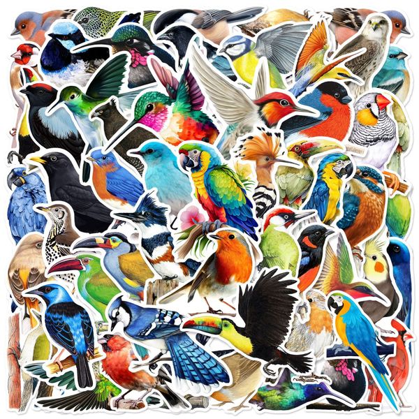 100 Pcs Mixed Colorful Bird Graffiti Waterproof PVC Stickers