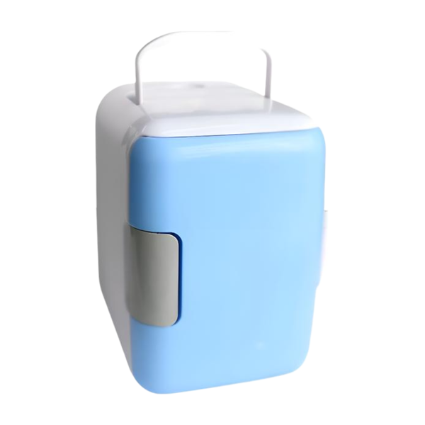 4L Portable Mini Fridge - Cooler and Warmer for Car/Home
