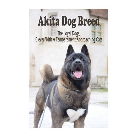are powerful akitas good with cats or not