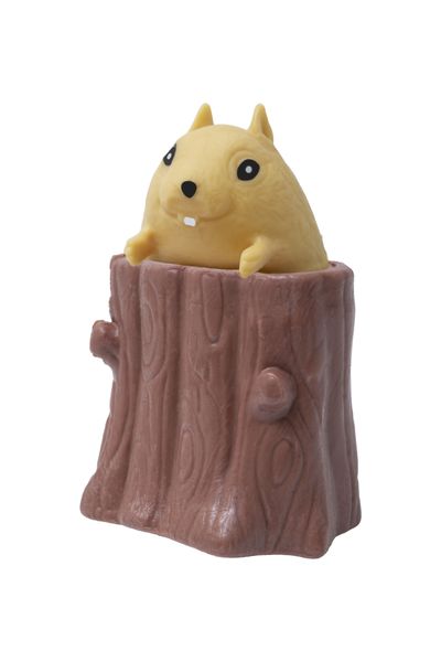 Pop Up Squirrel Stress Relief Fidget Toy - Blindbox