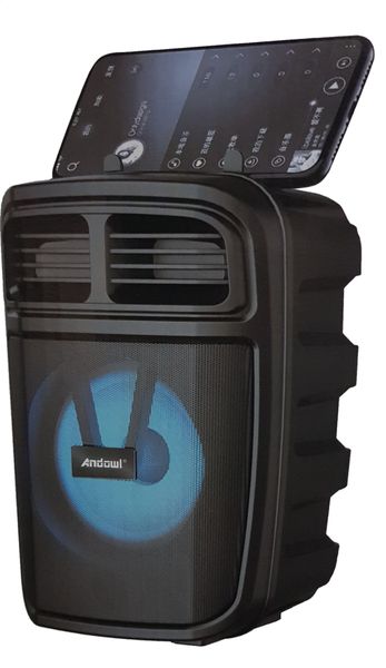 Portable Wireless Speaker