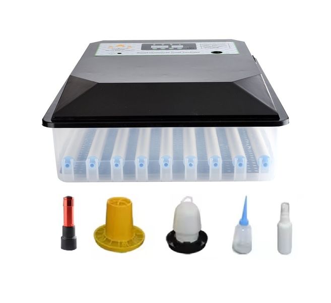 64 Egg Incubator -Dual Power