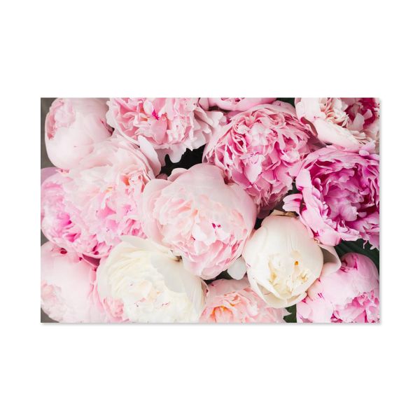 Canvas Wall Art - Rich Pink Peonies - 150cm x 100cm