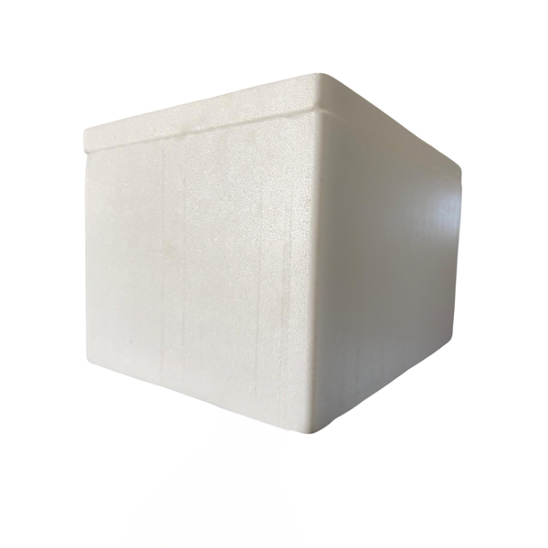 Multipurpose Polystyrene Cooler Box 8L