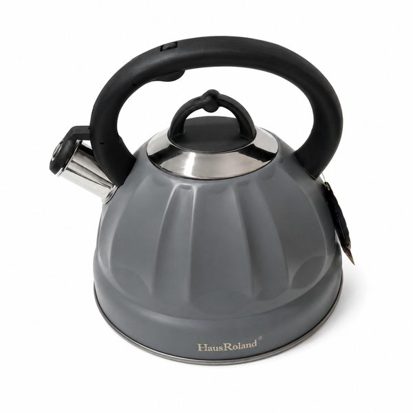 HausRoland Stainless Steel Whistling Kettle - Modern Grey Tea Pot