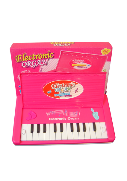 CUL009 Electronic Organ (m) 080