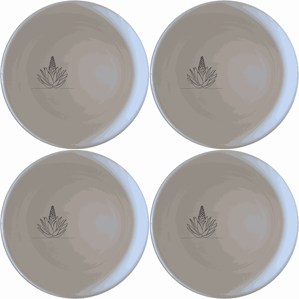 Aloe Ferox Flower Spike Bowl Set of 4 - Range 1