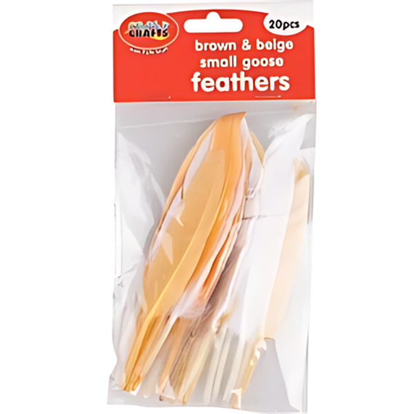 Crazy Crafts Small Goose Feathers 20pcs