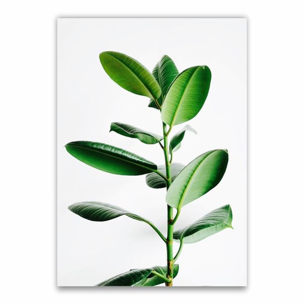 Minimalistic Vertical Plant Poster - A1